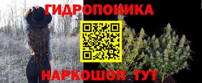 mdma Можга