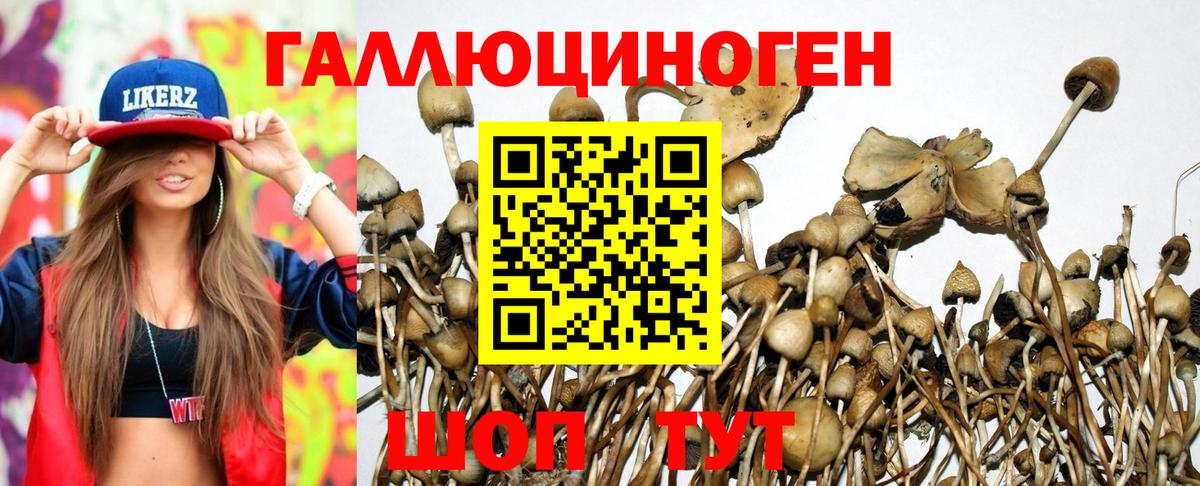 Среднеуральск  Псилоцибиновые грибы мухоморы  Галлюциногенные грибы мухоморы  Вход с VPN 